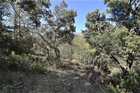Terra a Taillet, Pyrenees-Orientales, Taillet - € 49.051 | Ref: 603 - foto 9