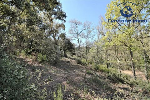 Terra a Taillet, Pyrenees-Orientales, Taillet - € 49.051 | Ref: 603 - foto 10