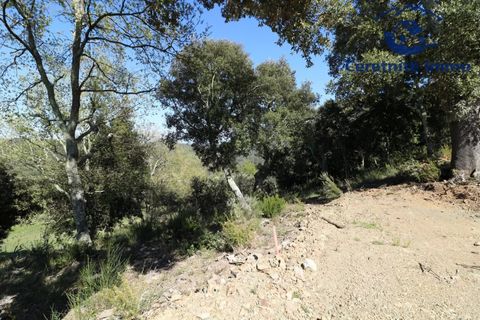 Terra a Taillet, Pyrenees-Orientales, Taillet - € 49.051 | Ref: 603 - foto 11