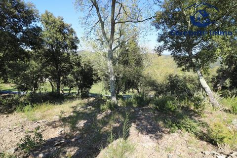 Terra a Taillet, Pyrenees-Orientales, Taillet - € 49.051 | Ref: 603 - foto 13