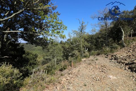 Terra a Taillet, Pyrenees-Orientales, Taillet - € 49.051 | Ref: 603 - foto 15