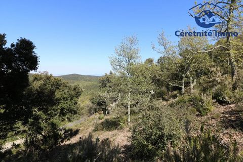Terra a Taillet, Pyrenees-Orientales, Taillet - € 49.051 | Ref: 603 - foto 16