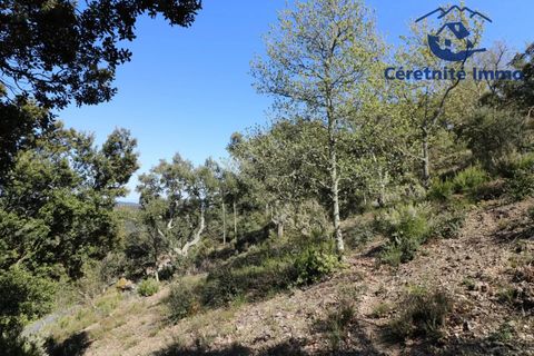 Terra a Taillet, Pyrenees-Orientales, Taillet - € 49.051 | Ref: 603 - foto 17