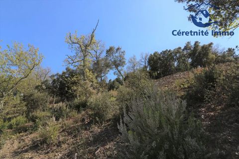 Terra a Taillet, Pyrenees-Orientales, Taillet - € 49.051 | Ref: 603 - foto 18