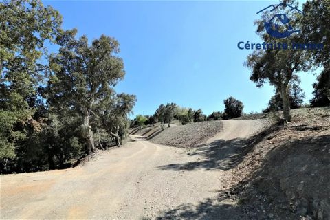 Terra a Taillet, Pyrenees-Orientales, Taillet - € 49.051 | Ref: 603 - foto 20