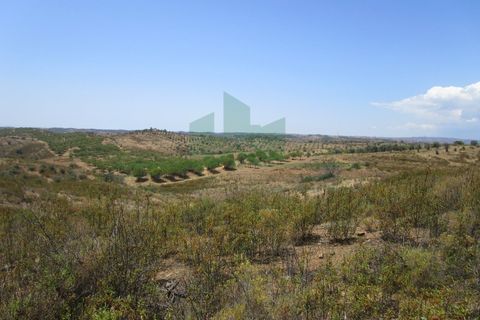 Helårsgrund i Castro Marim, Faro, Castro Marim - € 220.000 | Ref: 2001-113 - foto 32