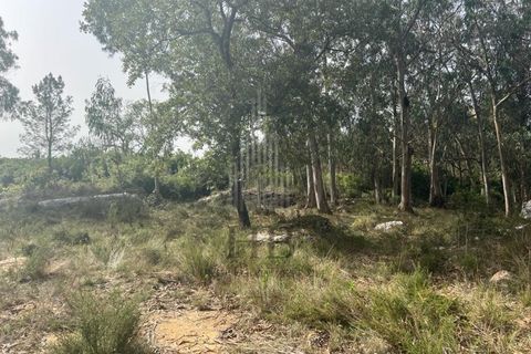 Helårsgrund i Lourinha, Lisbon, Lourinha - € 100.000 | Ref: HB0263 - foto 2