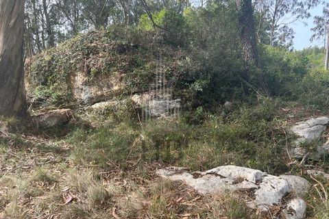 Helårsgrund i Lourinha, Lisbon, Lourinha - € 100.000 | Ref: HB0263 - foto 4