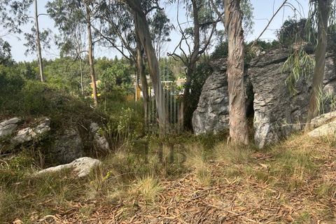 Helårsgrund i Lourinha, Lisbon, Lourinha - € 100.000 | Ref: HB0263 - foto 5