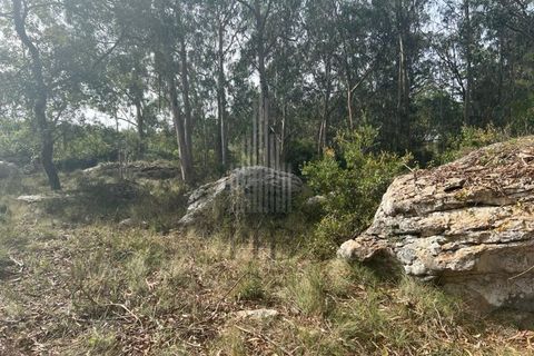 Helårsgrund i Lourinha, Lisbon, Lourinha - € 100.000 | Ref: HB0263 - foto 6