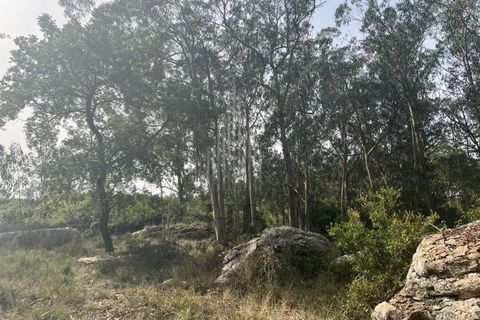 Helårsgrund i Lourinha, Lisbon, Lourinha - € 100.000 | Ref: HB0263 - foto 8