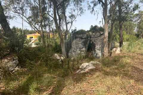 Helårsgrund i Lourinha, Lisbon, Lourinha - € 100.000 | Ref: HB0263 - foto 9