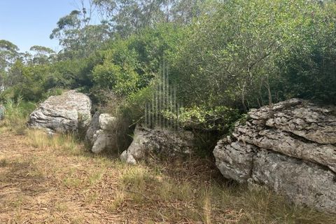Helårsgrund i Lourinha, Lisbon, Lourinha - € 100.000 | Ref: HB0263 - foto 10