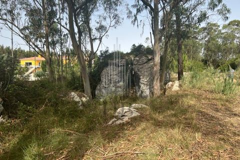 Helårsgrund i Lourinha, Lisbon, Lourinha - € 100.000 | Ref: HB0263 - foto 11