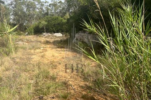 Helårsgrund i Lourinha, Lisbon, Lourinha - € 100.000 | Ref: HB0263 - foto 13