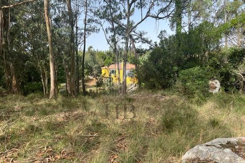Helårsgrund i Lourinha, Lisbon, Lourinha - € 100.000 | Ref: HB0263 - foto 15