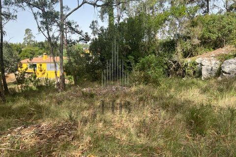 Helårsgrund i Lourinha, Lisbon, Lourinha - € 100.000 | Ref: HB0263 - foto 16