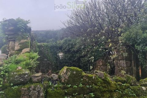 Ruinere i Ponte de Lima, Viana do Castelo, Ponte de Lima - € 250.000 | Ref: RUÏ_1731 - foto 22