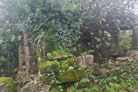 Ruinere i Ponte de Lima, Viana do Castelo, Ponte de Lima - € 250.000 | Ref: RUÏ_1731 - foto 24