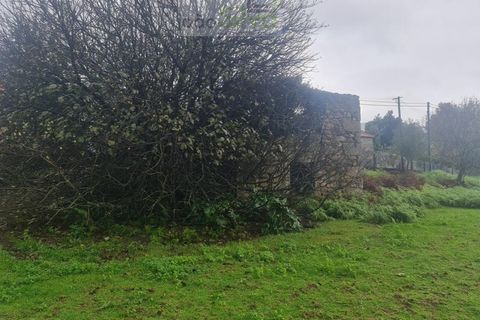 Ruinere i Ponte de Lima, Viana do Castelo, Ponte de Lima - € 250.000 | Ref: RUÏ_1731 - foto 31