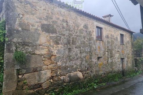 Ruinere i Ponte de Lima, Viana do Castelo, Ponte de Lima - € 250.000 | Ref: RUÏ_1731 - foto 38