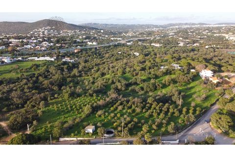 Helårsgrund i Almancil, Faro, Almancil - € 2.700.000 | Ref: 1117 - foto 3