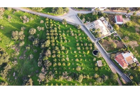 Helårsgrund i Almancil, Faro, Almancil - € 2.700.000 | Ref: 1117 - foto 4
