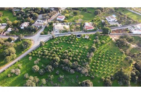 Helårsgrund i Almancil, Faro, Almancil - € 2.700.000 | Ref: 1117 - foto 7