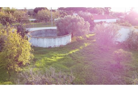 Helårsgrund i Almancil, Faro, Almancil - € 2.700.000 | Ref: 1117 - foto 8