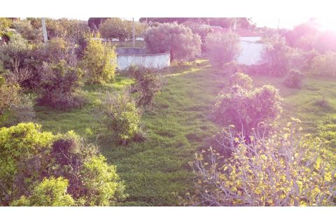 Helårsgrund i Almancil, Faro, Almancil - € 2.700.000 | Ref: 1117 - foto 9