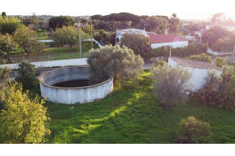 Helårsgrund i Almancil, Faro, Almancil - € 2.700.000 | Ref: 1117 - foto 10
