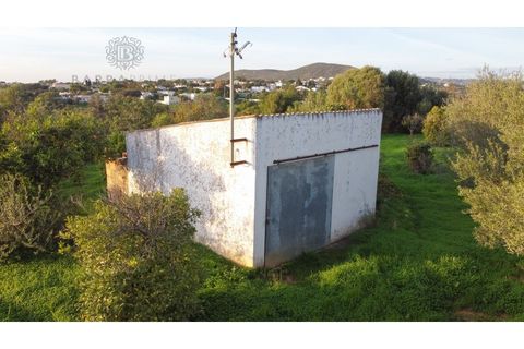 Helårsgrund i Almancil, Faro, Almancil - € 2.700.000 | Ref: 1117 - foto 13