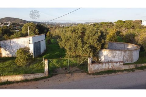 Helårsgrund i Almancil, Faro, Almancil - € 2.700.000 | Ref: 1117 - foto 14
