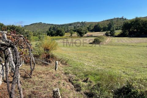 Terra a Cambeses, Viana do Castelo, Cambeses - € 600/mes | Ref: REF187 - foto 3