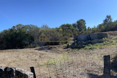 Terra a Cambeses, Viana do Castelo, Cambeses - € 600/mes | Ref: REF187 - foto 4