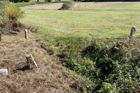Terra a Cambeses, Viana do Castelo, Cambeses - € 600/mes | Ref: REF187 - foto 5