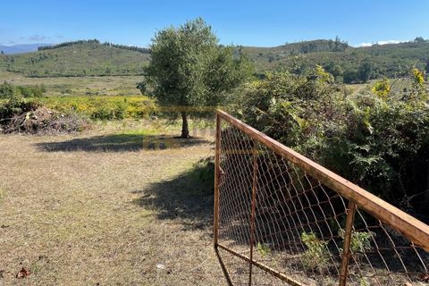 Terra a Cambeses, Viana do Castelo, Cambeses - € 600/mes | Ref: REF187 - foto 6
