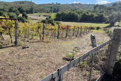Terra a Cambeses, Viana do Castelo, Cambeses - € 600/mes | Ref: REF187 - foto 7