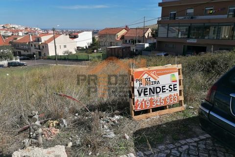 Helårsgrund i Sintra, Lisbon, Sintra - € 125.000 | Ref: PP4772 - foto 12