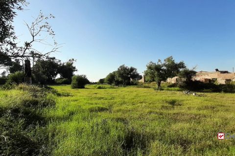 Helårsgrund i Messina, Messina, Messina - € 65.000 | Ref: RSC-6499 - foto 8