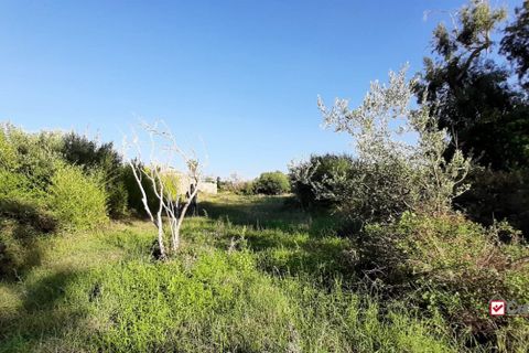 Helårsgrund i Messina, Messina, Messina - € 65.000 | Ref: RSC-6499 - foto 12