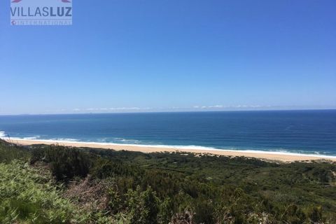 Helårsgrund i Nazare, Leiria, Nazare - € 85.000 | Ref: FC-TER-0023 - foto 3