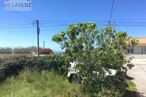 Helårsgrund i Nazare, Leiria, Nazare - € 85.000 | Ref: FC-TER-0023 - foto 9