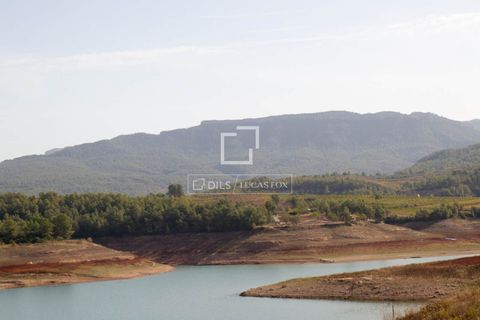 Helårsgrund i Els Guiamets, Tarragona, Els Guiamets - € 398.000 | Ref: TAR37686 - foto 10