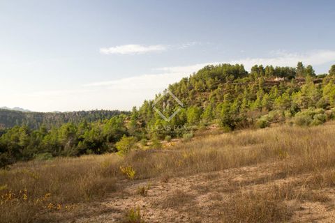 Helårsgrund i Els Guiamets, Tarragona, Els Guiamets - € 398.000 | Ref: TAR37686 - foto 12