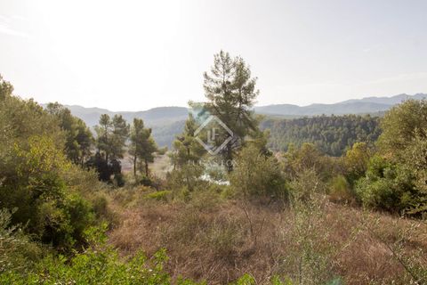 Helårsgrund i Els Guiamets, Tarragona, Els Guiamets - € 398.000 | Ref: TAR37686 - foto 14