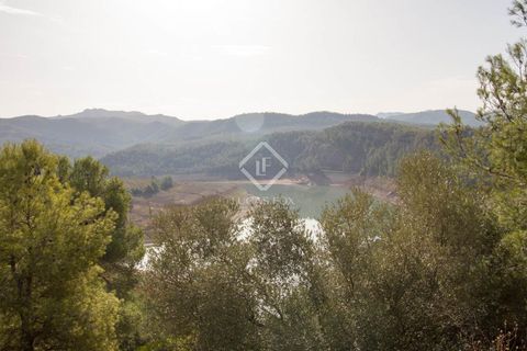 Helårsgrund i Els Guiamets, Tarragona, Els Guiamets - € 398.000 | Ref: TAR37686 - foto 16
