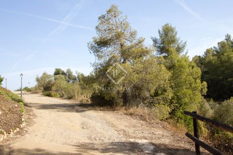 Helårsgrund i Els Guiamets, Tarragona, Els Guiamets - € 398.000 | Ref: TAR37686 - foto 18