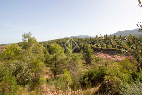 Helårsgrund i Els Guiamets, Tarragona, Els Guiamets - € 398.000 | Ref: TAR37686 - foto 22