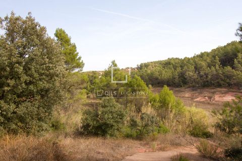 Helårsgrund i Els Guiamets, Tarragona, Els Guiamets - € 398.000 | Ref: TAR37686 - foto 29
